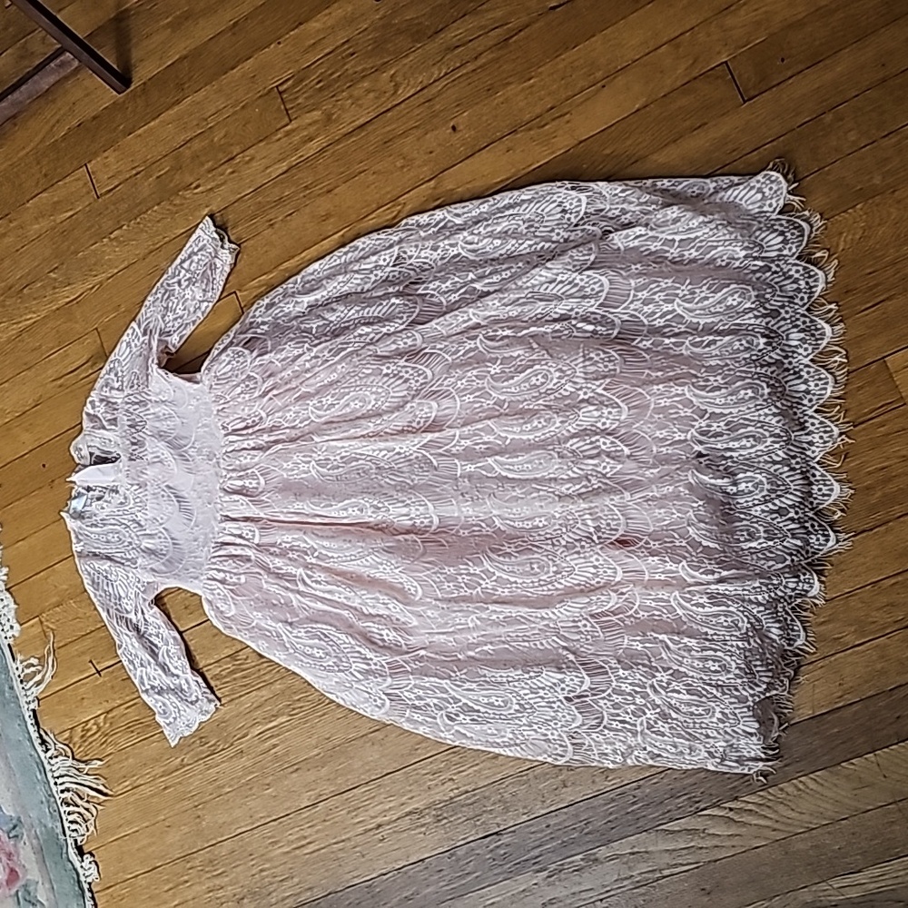 EUC: Beautiful Trish Scully Lace Bella Rafaela Gown - Size 10 - Picture 5 of 7